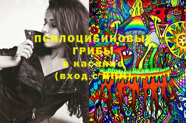 Альфа ПВП Няндома