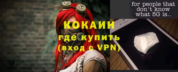 Альфа ПВП Няндома