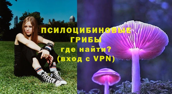 Альфа ПВП Няндома