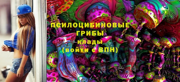 Альфа ПВП Няндома