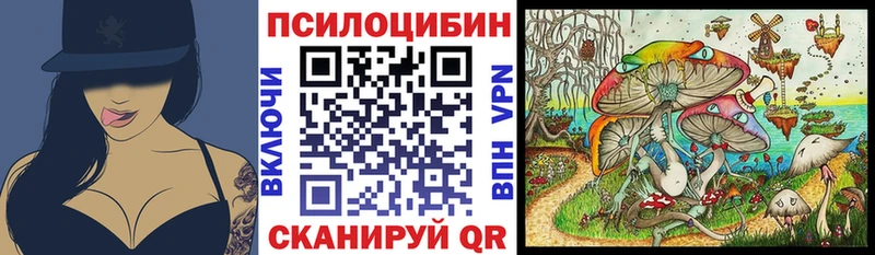 Купить закладки  Козельск  Галлюциногенные грибы мицелий 